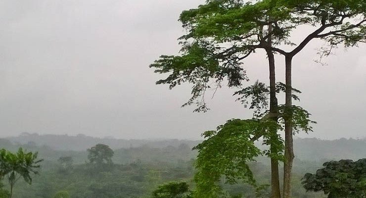 SIAF project: IGN FI brings its expertise to the gabonese ministry in charge of the forest economy