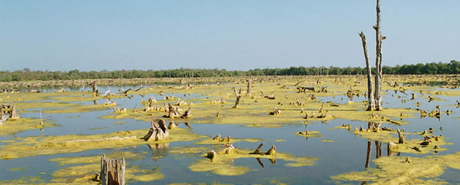 Corine Land Cover, COLOMBIE