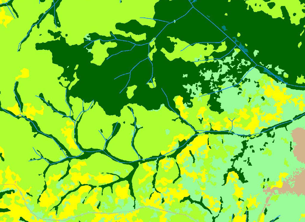 Spacial observation of tropical forests (OSFT), Central Africa