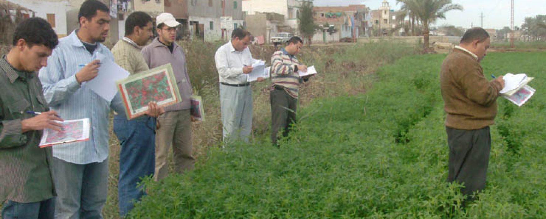 Inventory of crops (CIPA), EGYPT