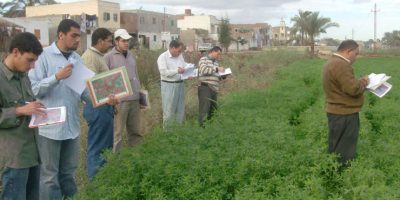 Inventory of crops (CIPA), EGYPT
