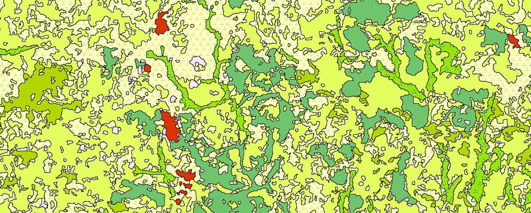 IVORY COAST: Spatial land monitoring project