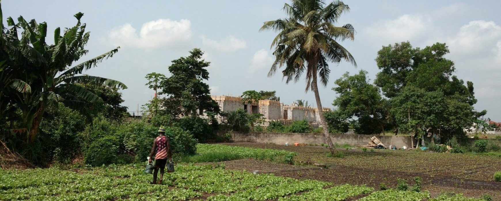 Rural Land Information System, IVORY COAST