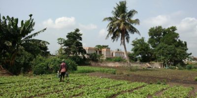 Rural Land Information System, IVORY COAST