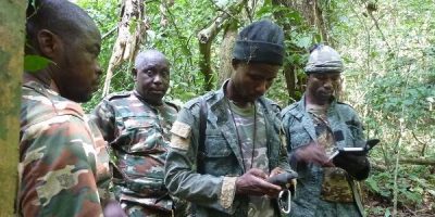 National forest and wildlife inventory (IFFN), IVORY COAST