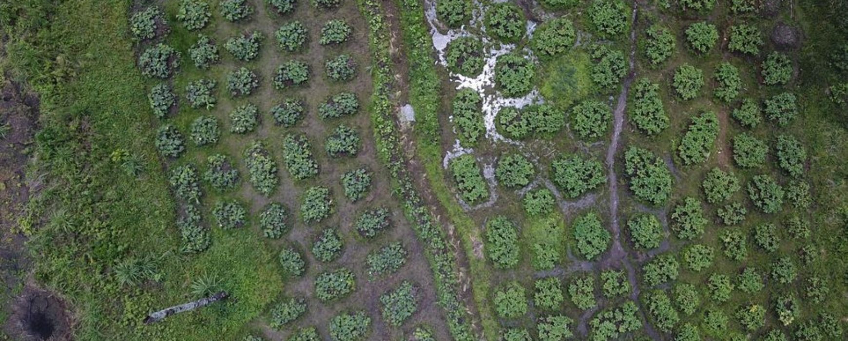 Reportage de RFI sur le projet de zonage agro-écologique de la Guinée