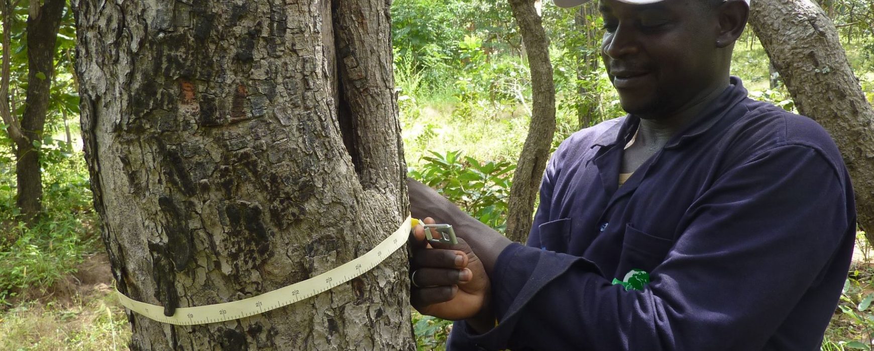 L’Inventaire forestier et faunique en Côte d’Ivoire se poursuit