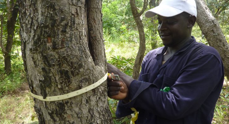 The Ivory Coast National Forest and Wildlife Inventory continues