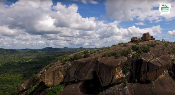 Inventaire forestier et faunique de la Côte d’Ivoire : enjeux et état d’avancement