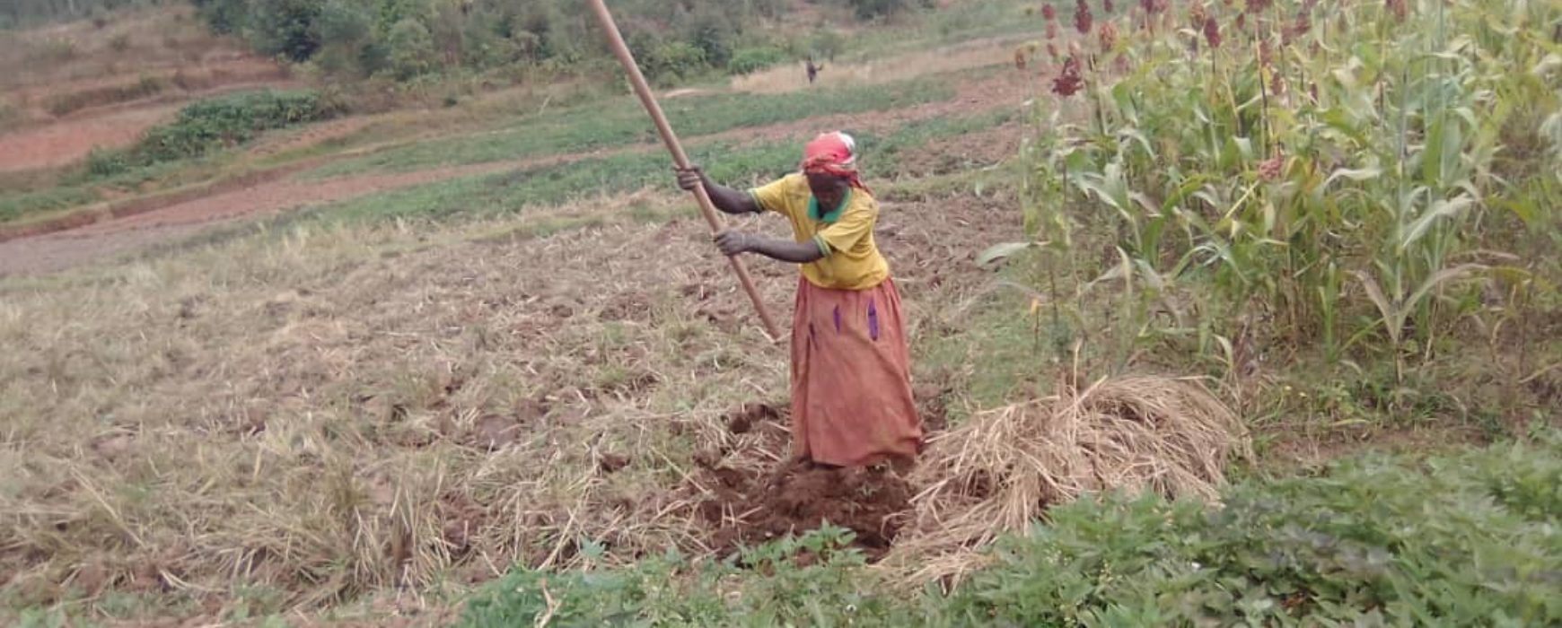 Appui à la sécurisation foncière, BURUNDI