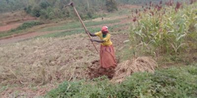 Support for the land tenure security, BURUNDI