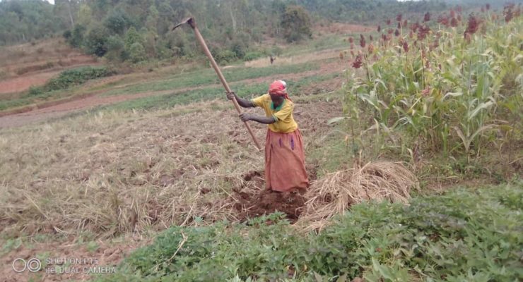 PRRPB project : a workshop to secure the land rights of the most vulnerable