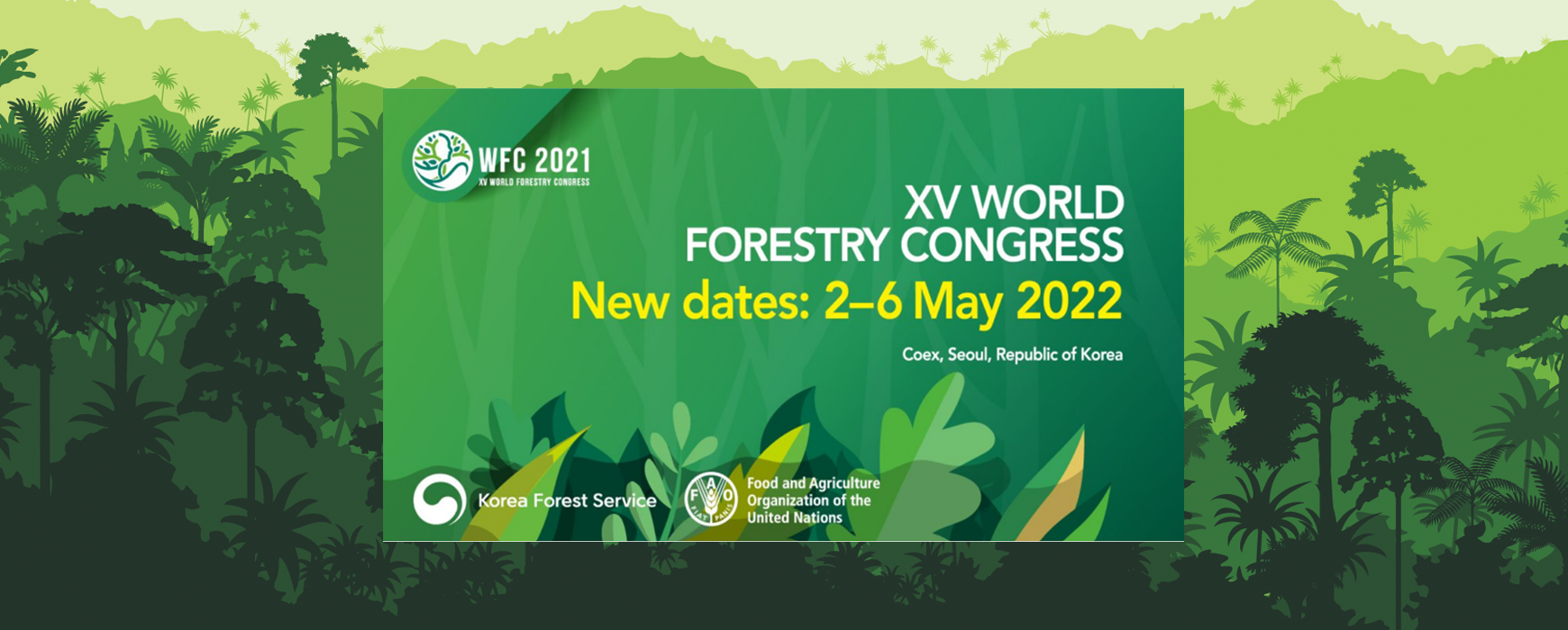 WFC 2022: Ivory Coast to re-present the results of its national forest inventory