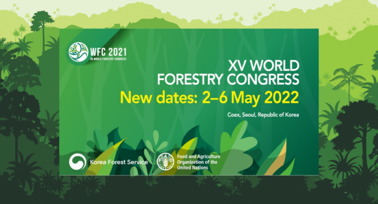 WFC 2022: Ivory Coast to re-present the results of its national forest inventory