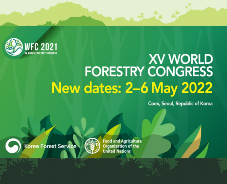WFC 2022 : La Côte d’Ivoire présentera de nouveau les résultats de son inventaire forestier national