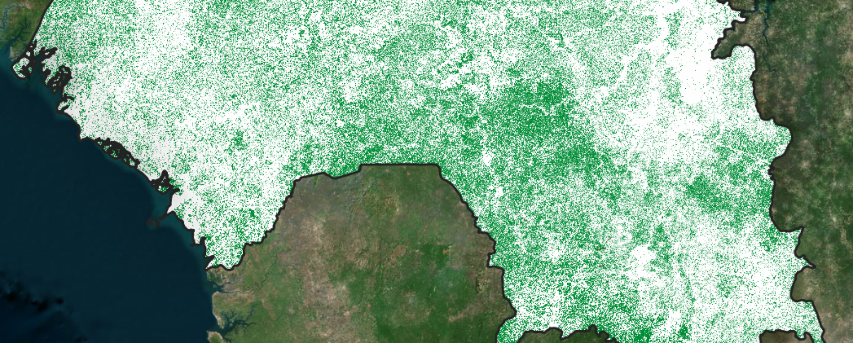 Support for the development of the National Forest and Land Use Monitoring System (SNSF) in the Republic of Guinea
