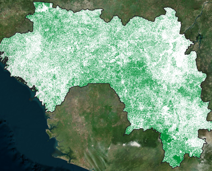 Support for the development of the National Forest and Land Use Monitoring System (SNSF) in the Republic of Guinea