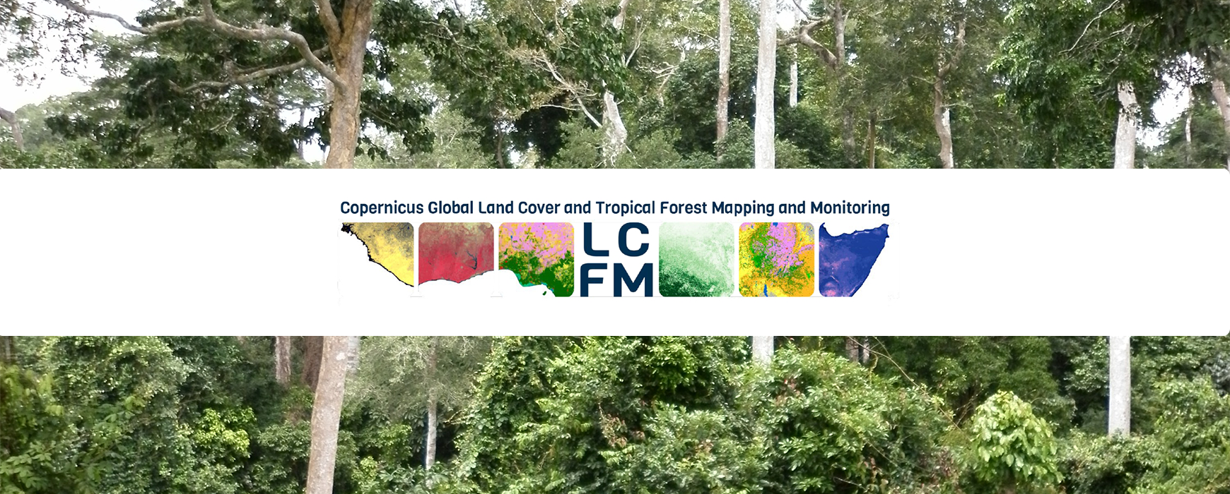 IGN FI au cœur du Nouveau Service Copernicus Global Land Cover and Tropical Forest Mapping and Monitoring (LCFM)
